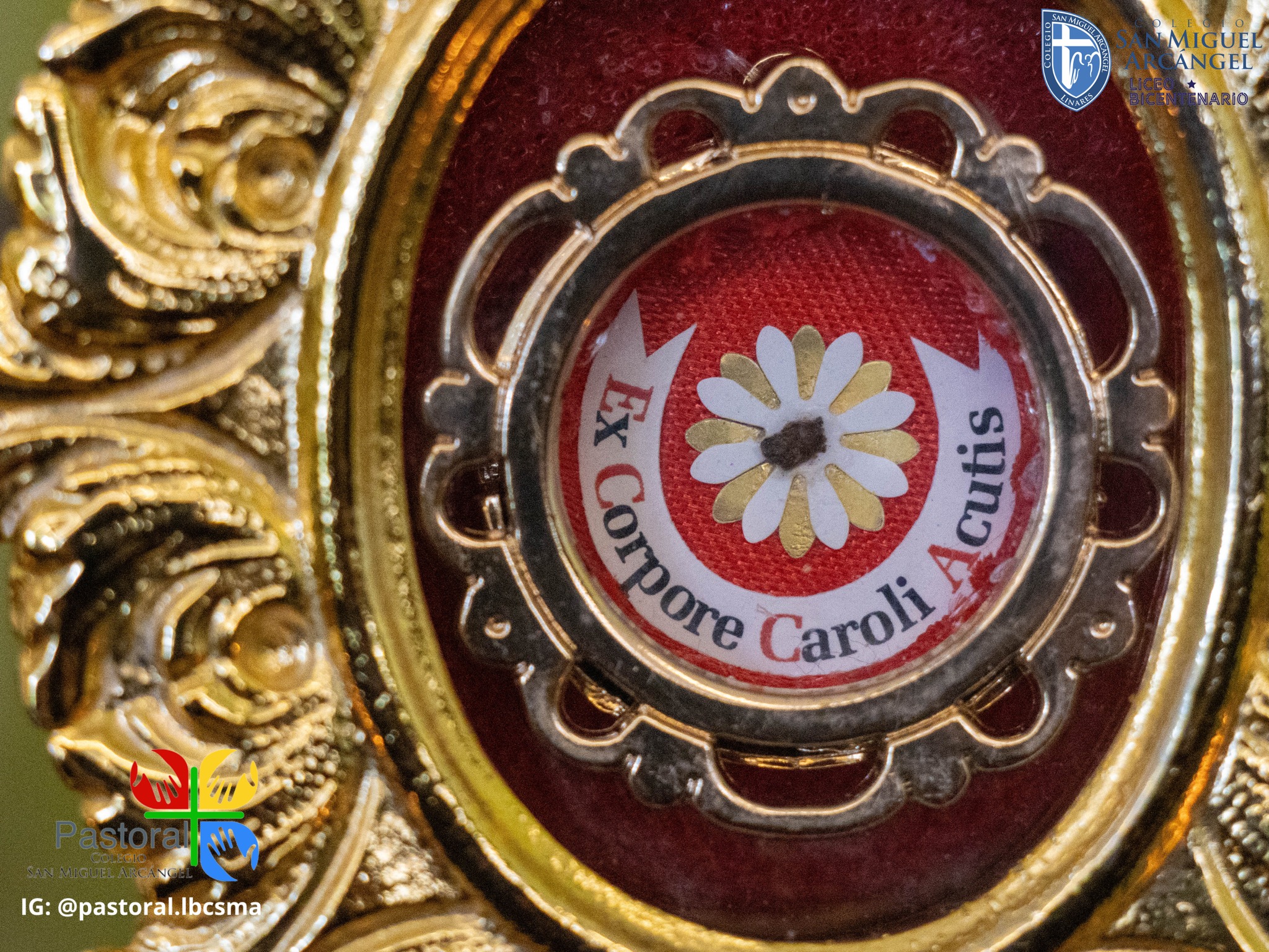 Visita Reliquia Beato Carlo Acutis