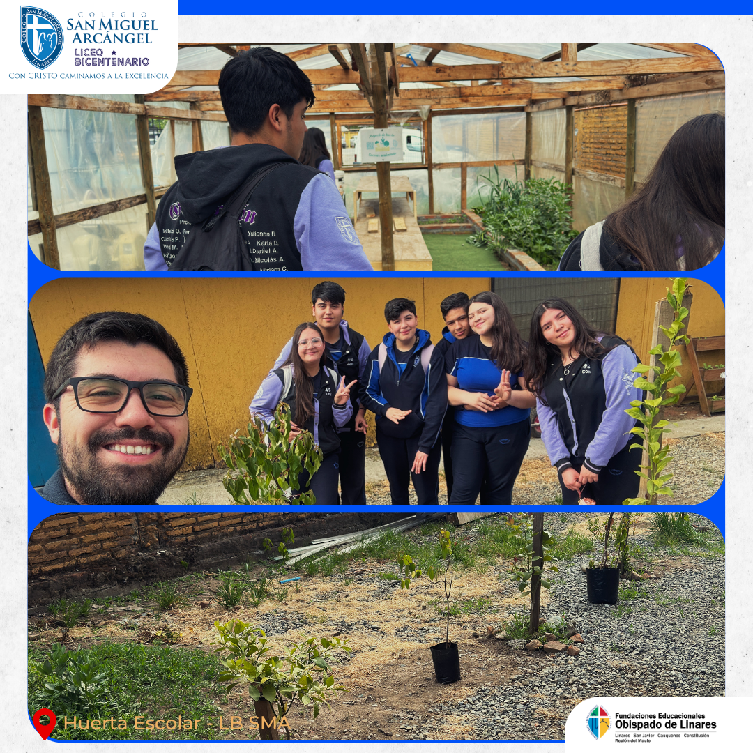 Pastoral Juvenil en Acción