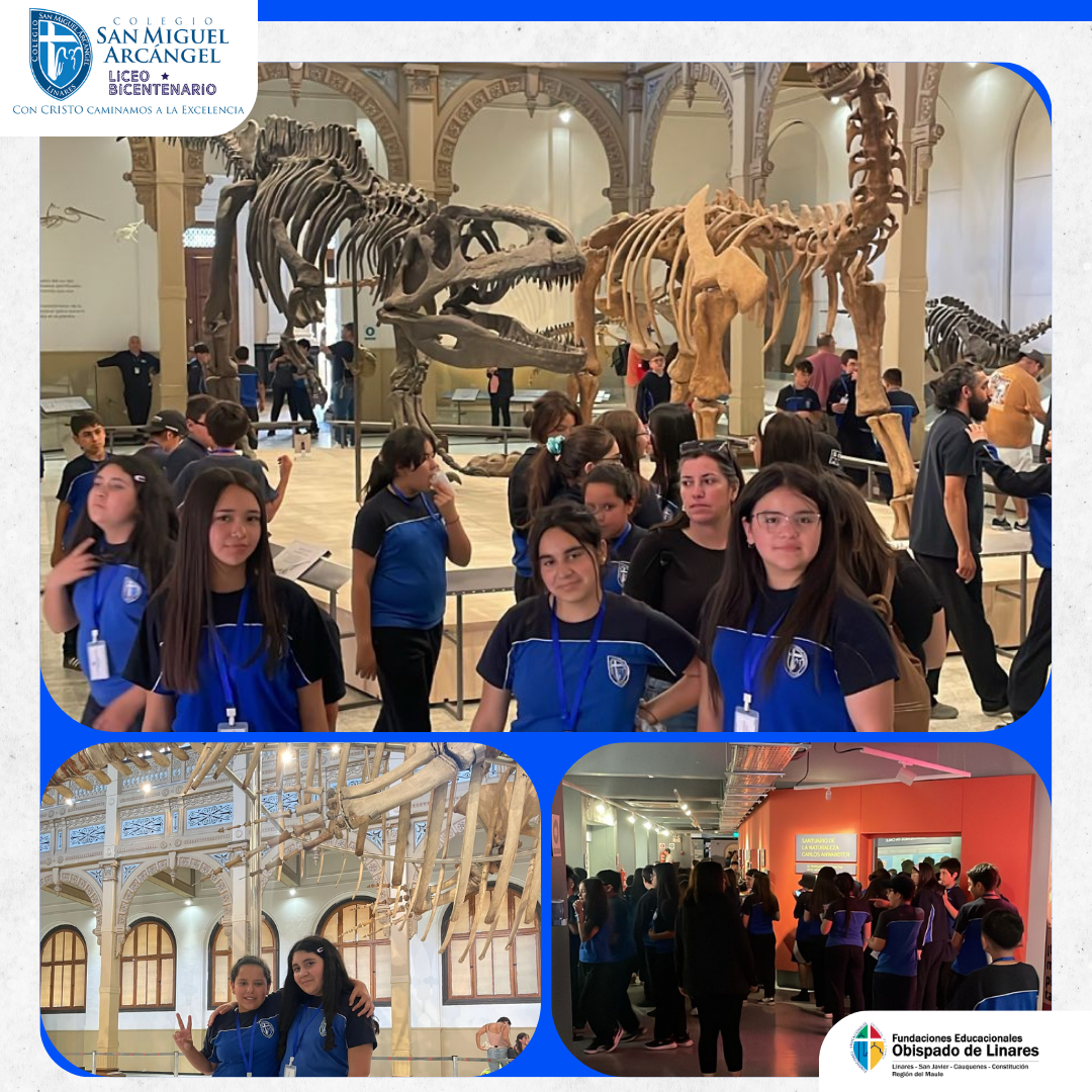 Salida Pedagógica 6tos Básicos al Planetario y Museo